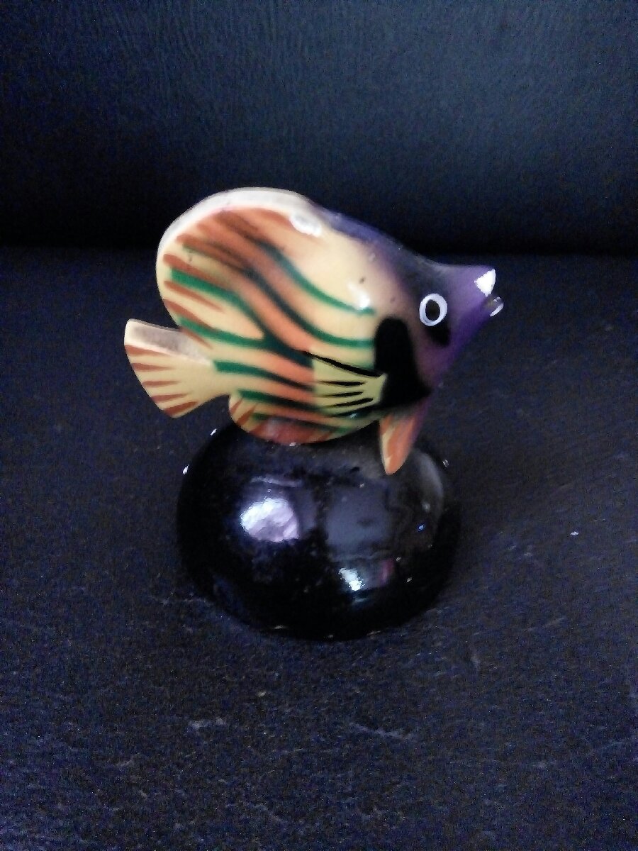 Aquarium fish