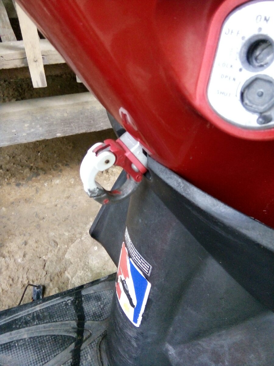 Cargo hook