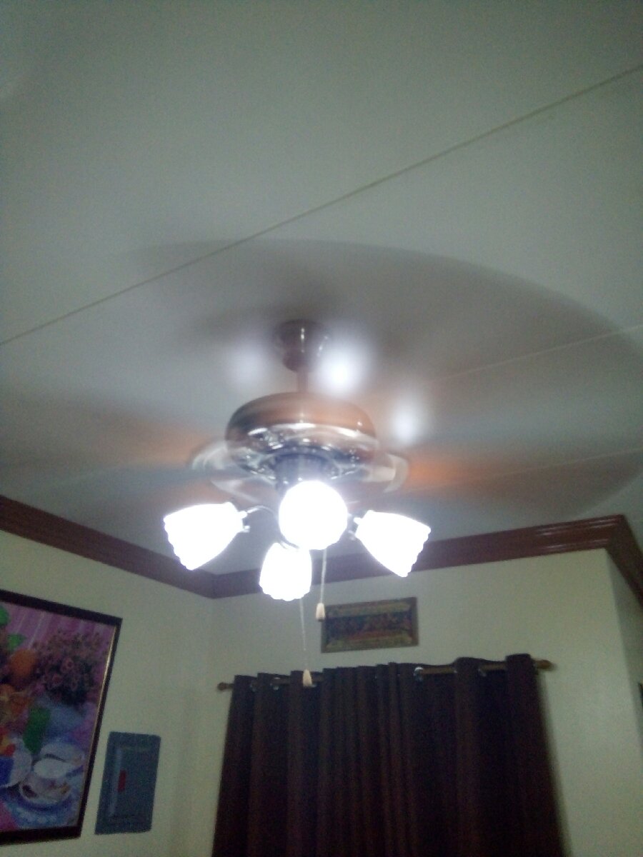Ceiling fan