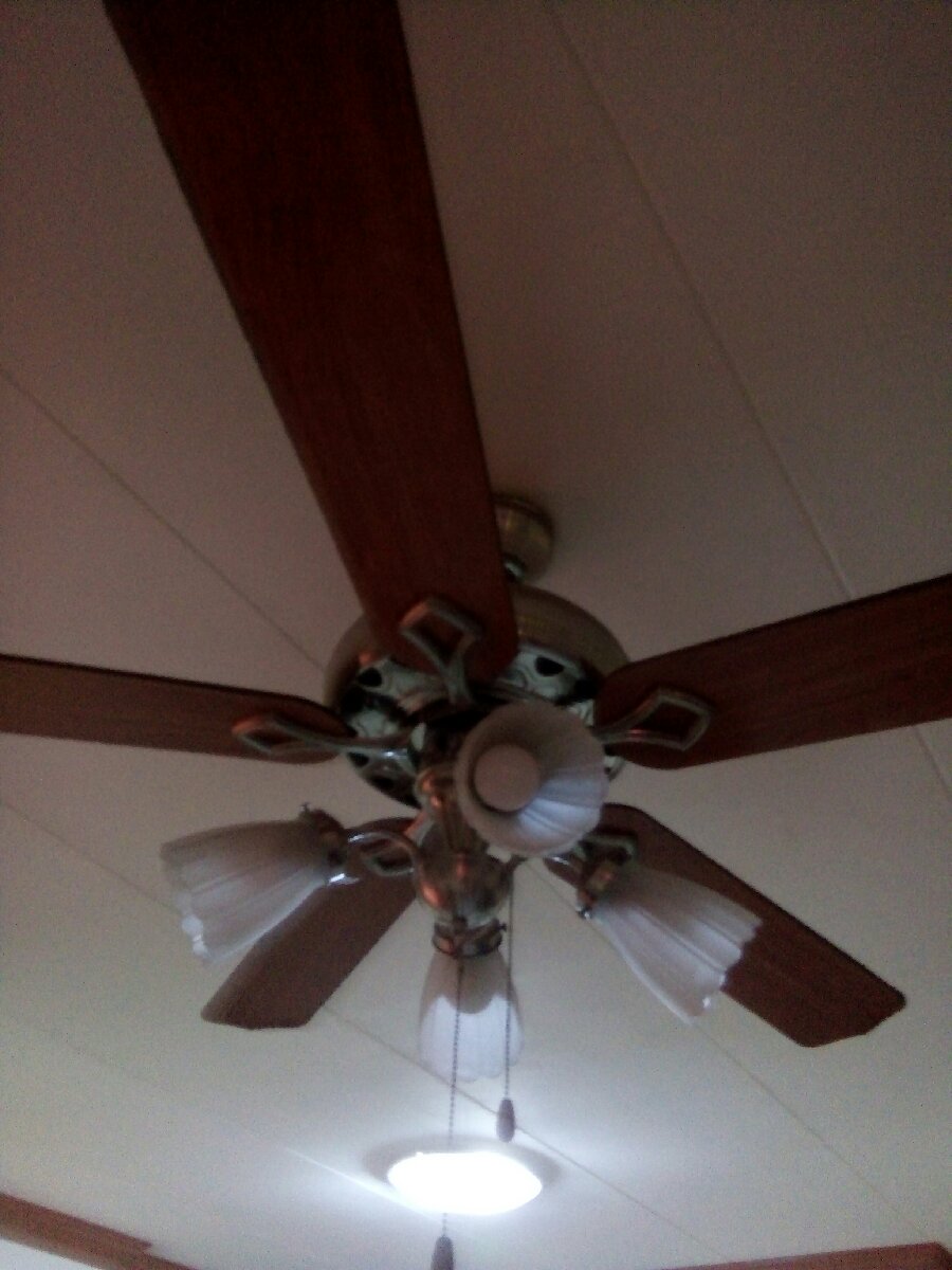 Ceiling fan