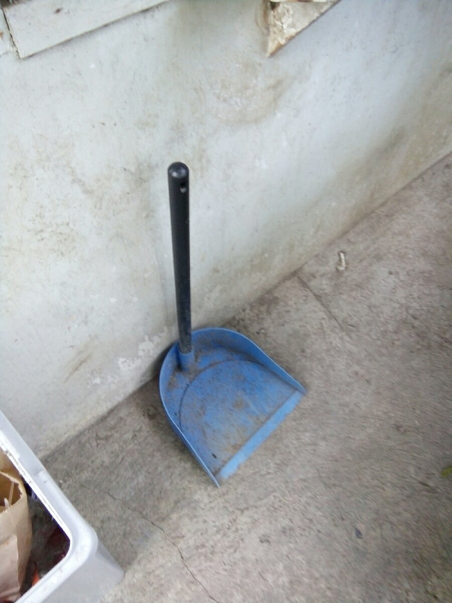 Dust fan