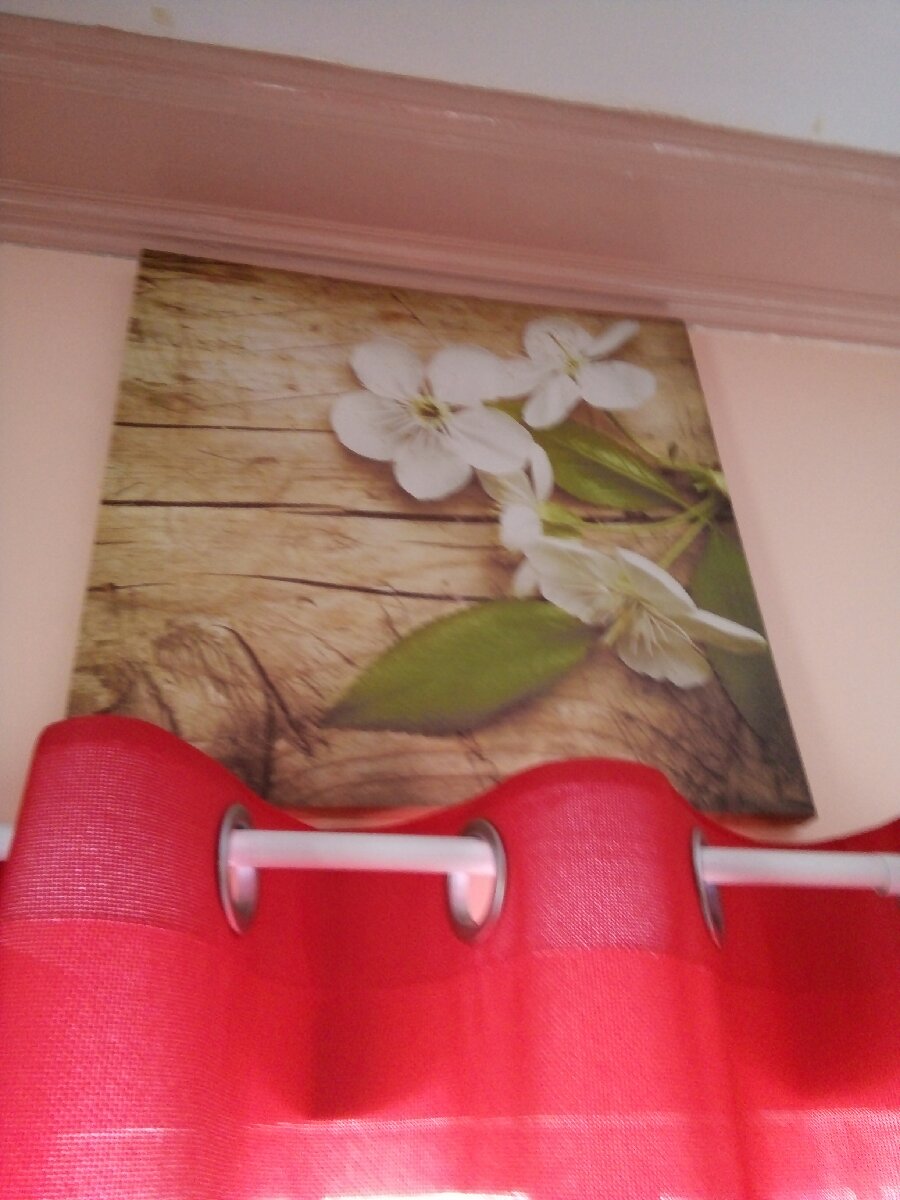 Flower picture