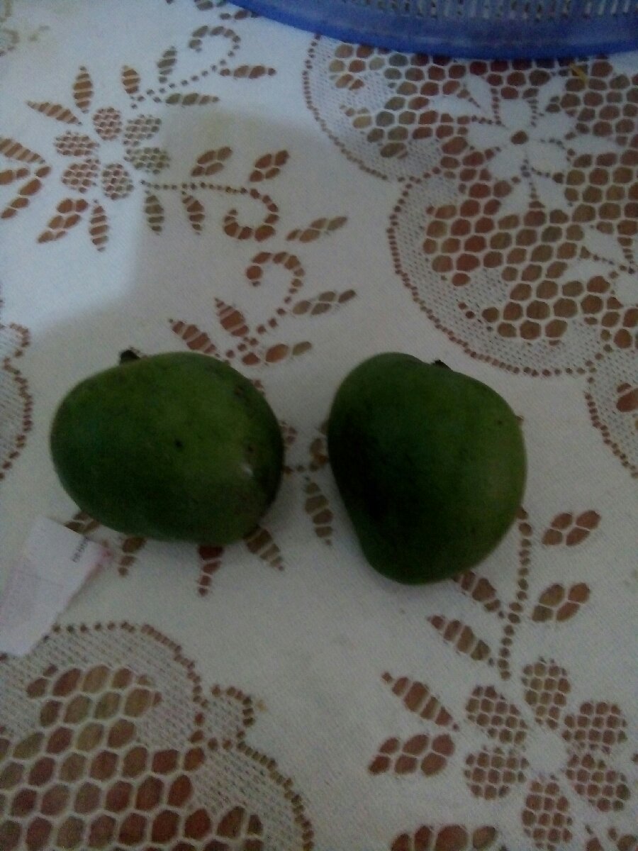 Green Mango