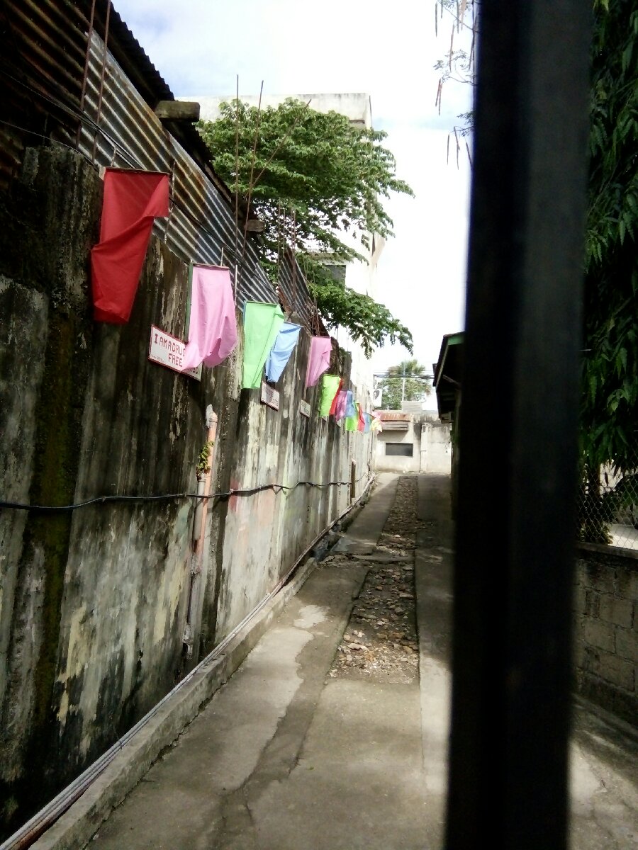 Passage Flags