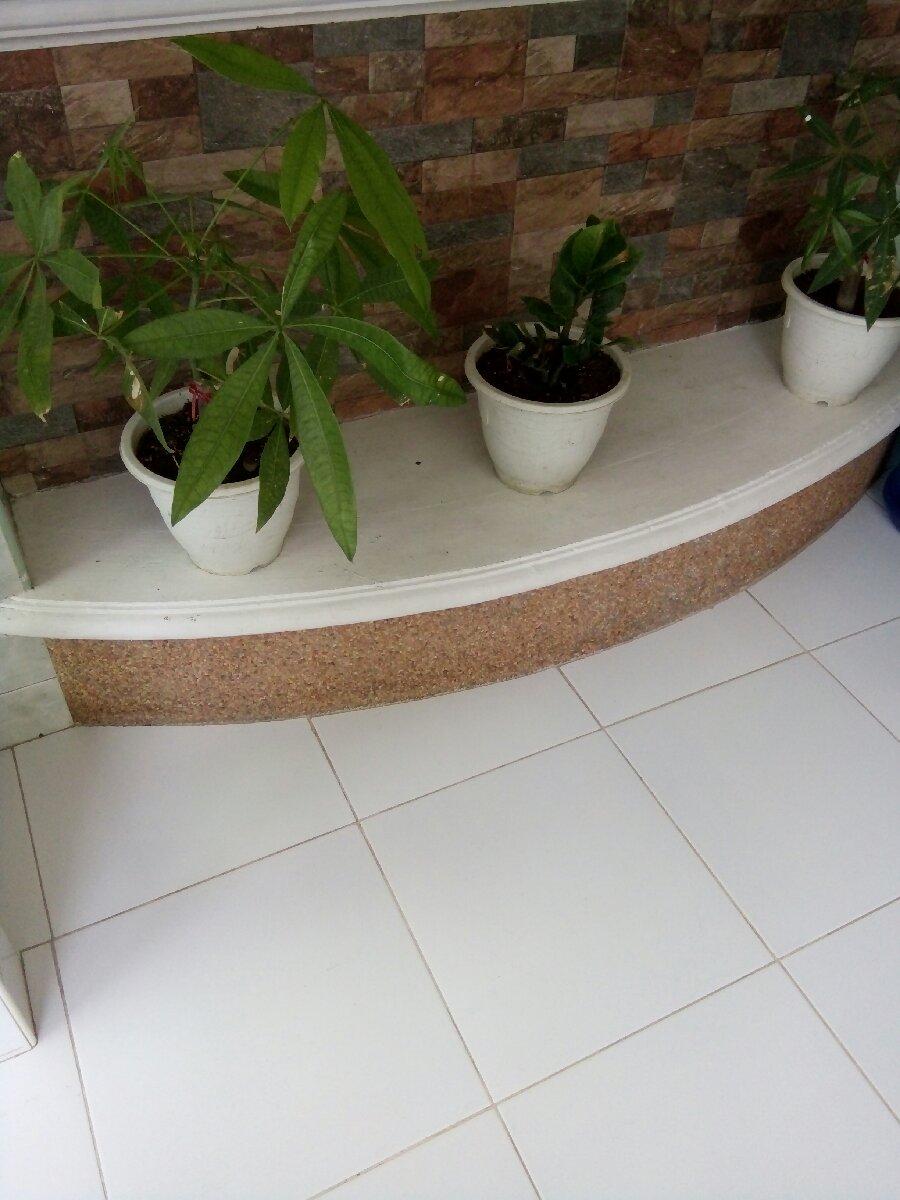 Plant stand
