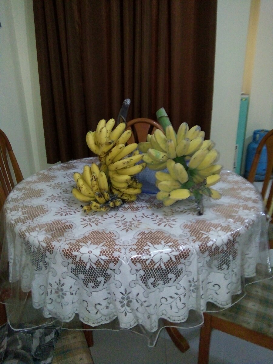 Ripe bananas from my farm
