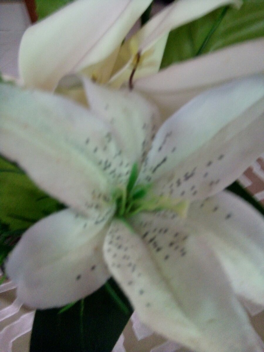 White flowers