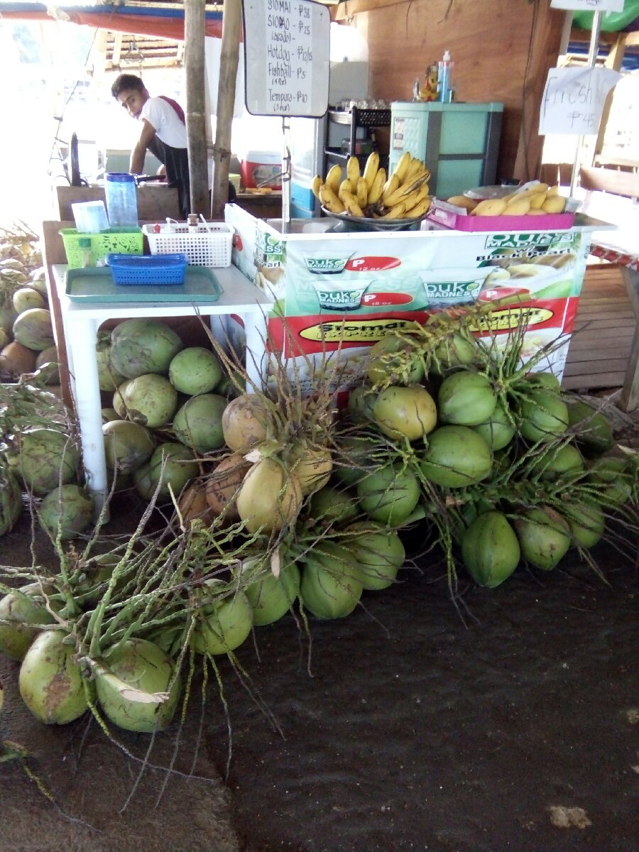 Young Coconut