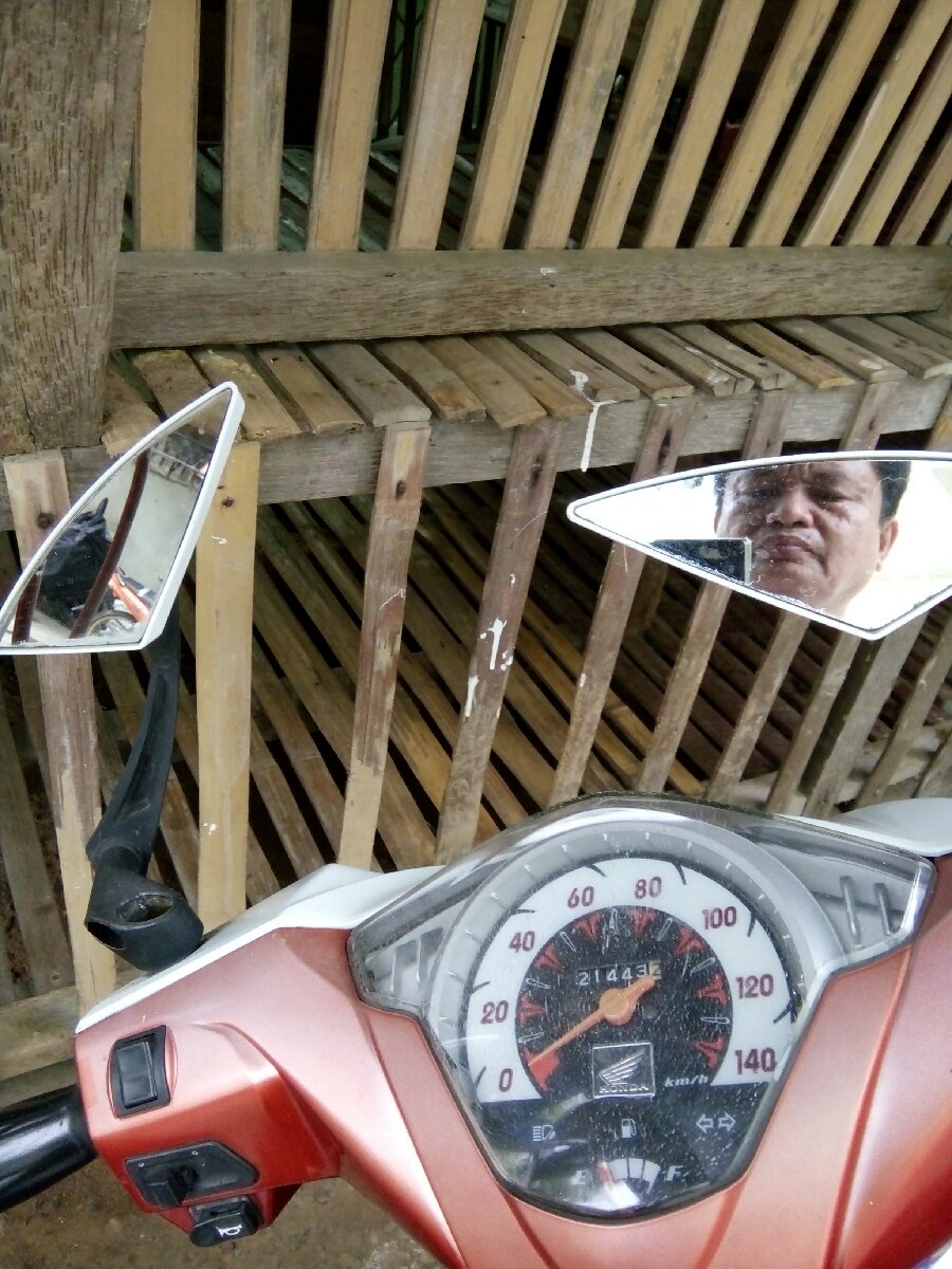 side mirror