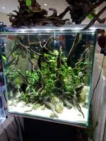Aquarium
