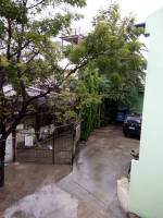 Green wall