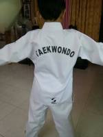 Taekwando kid