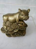 Golden pig