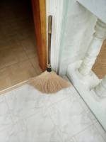 Coco broom