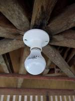 Circular ceiling bulb