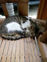 Sleeping child