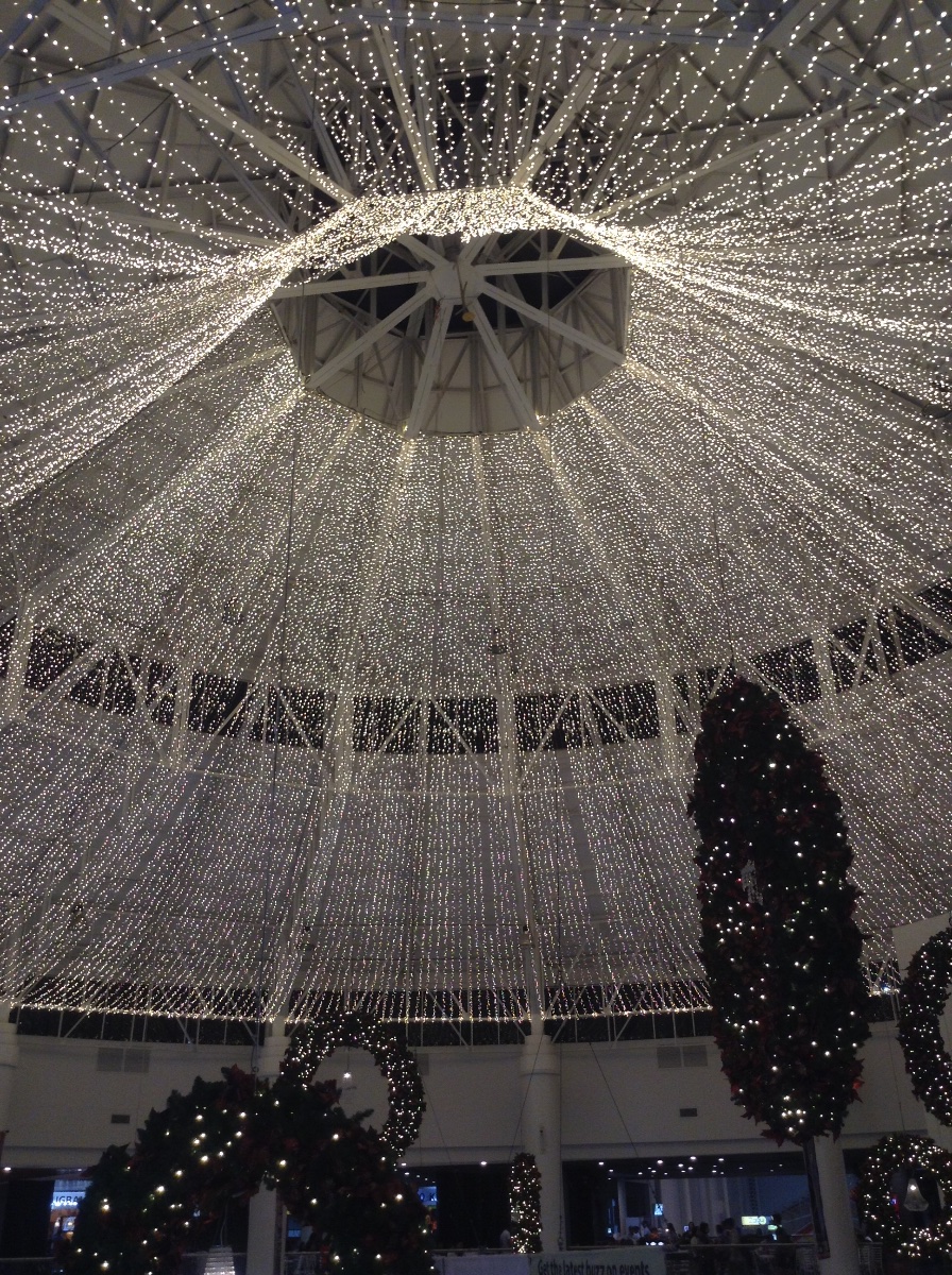 Ayala in cebu