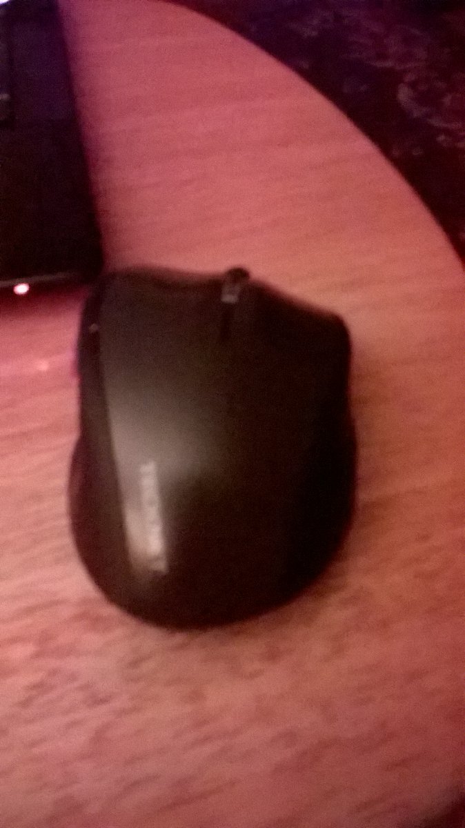 mouse