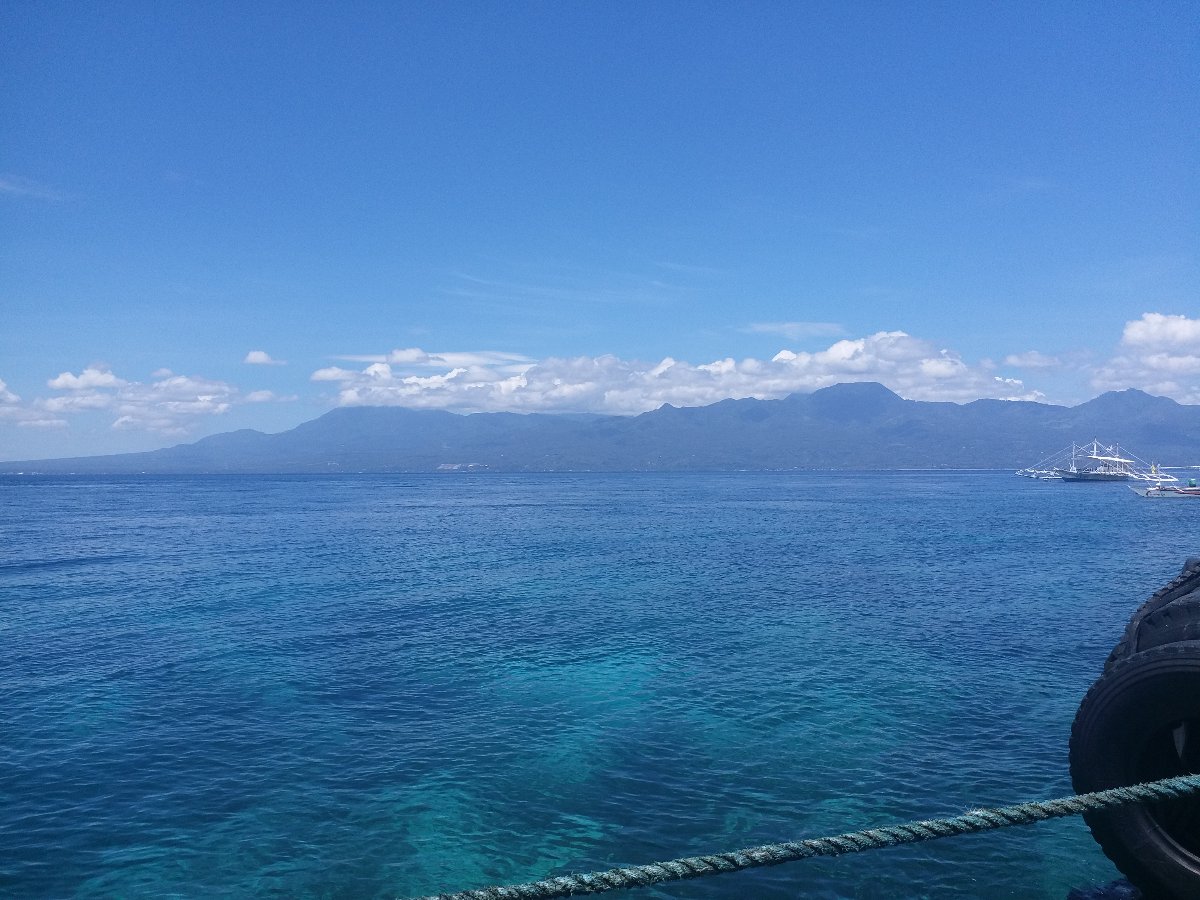 the view