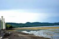 north sky beach resort
