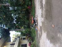 Fuente osmena, park, road