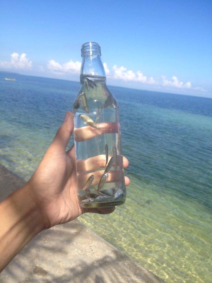 fish in the bottle, beach, bantayan