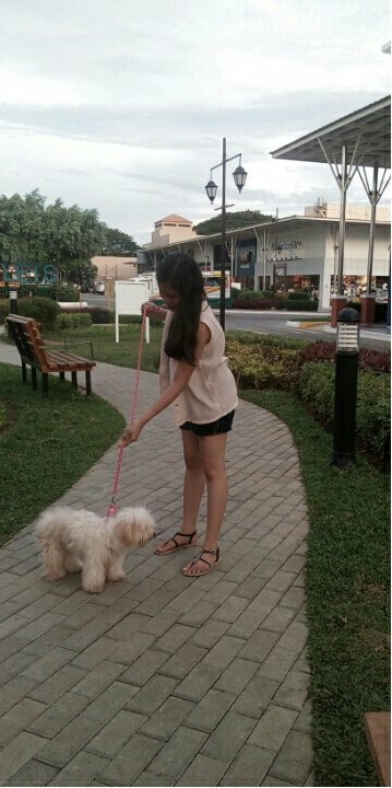 Our Cutie dog Yanny