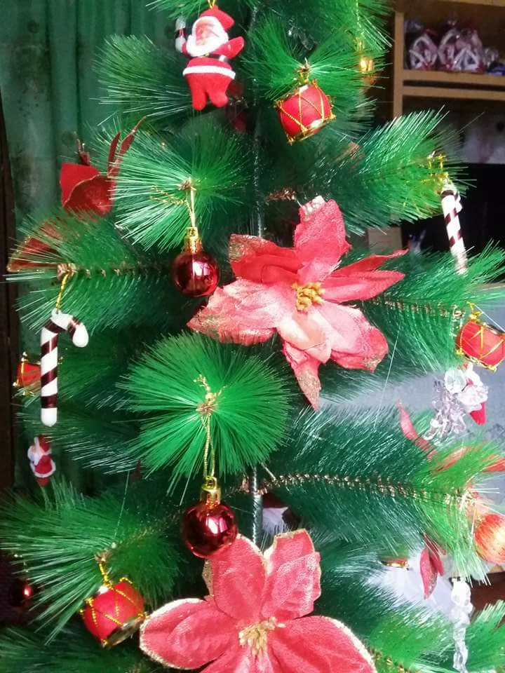 Our little Christmas Tree