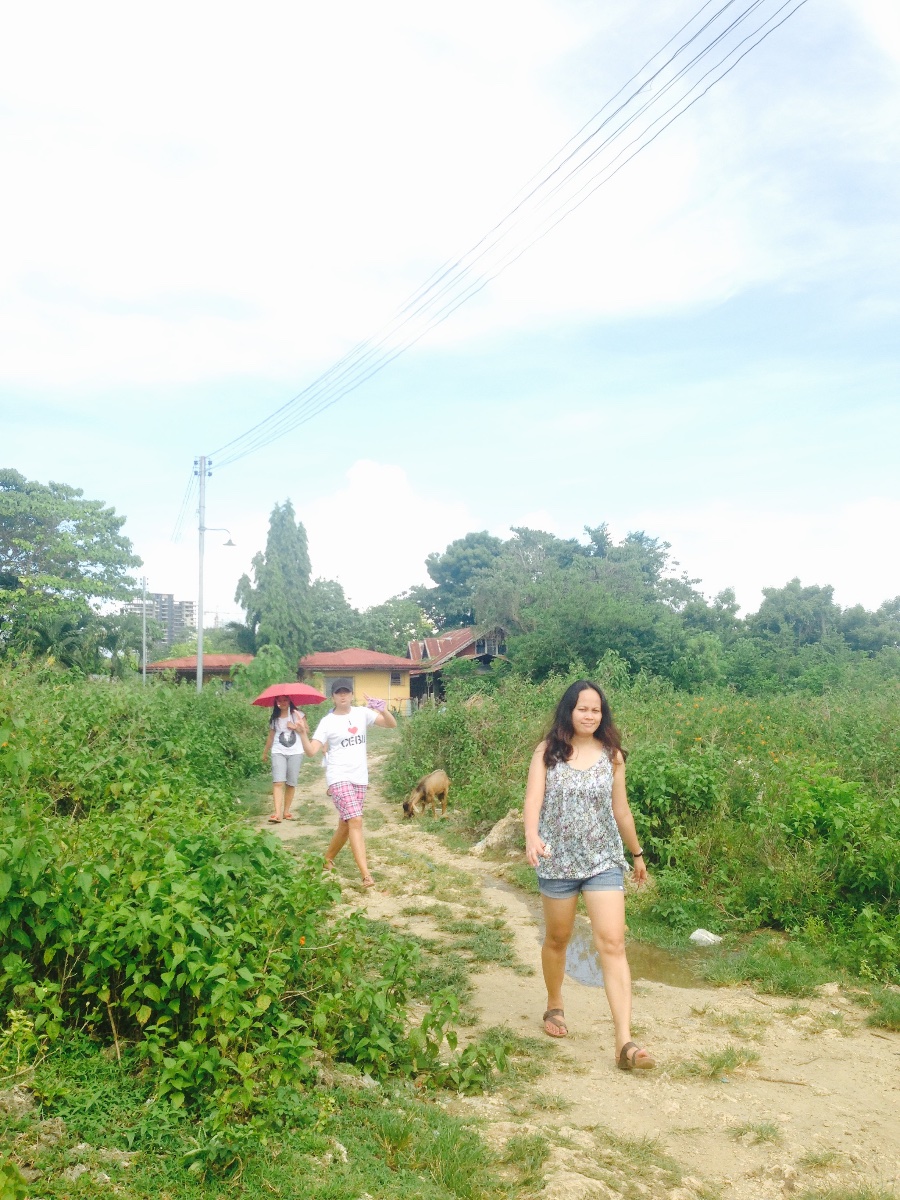 Pretty, girls, walking