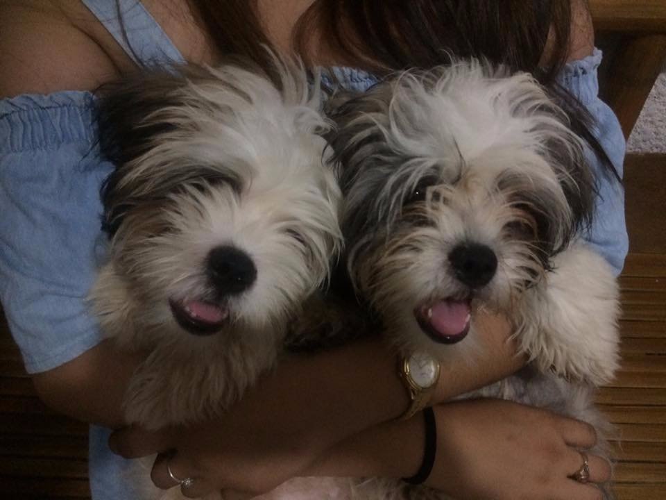 cuties, loveyou, both, smile, happy