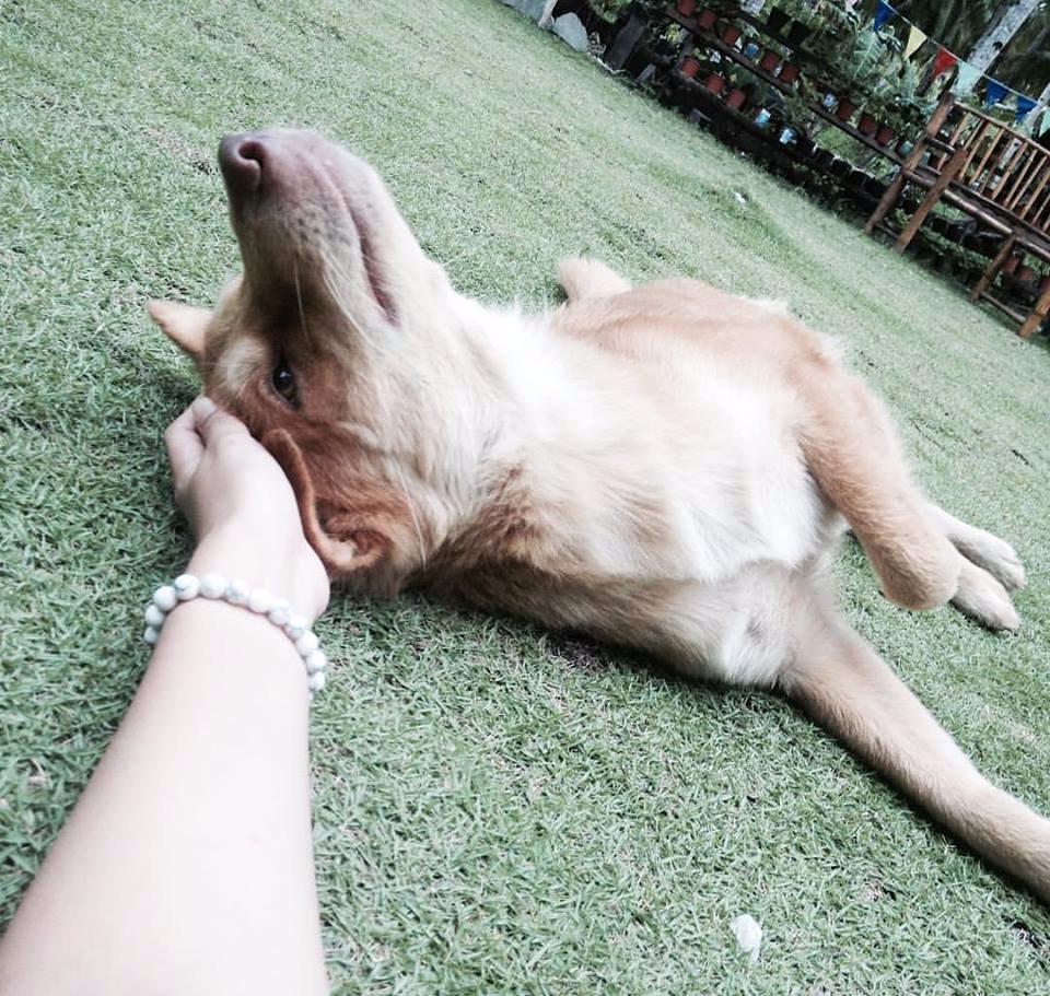 my, forever, love
