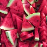 lts, of, watermelons