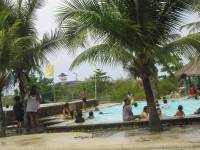 summer paradise