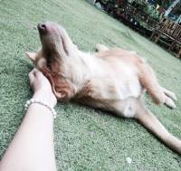 treats, day, with, my, forever, love