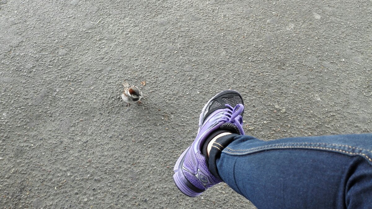 A little company while waiting for my train