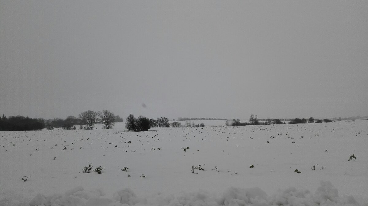 All Heaven and EarthFlowered white obliterate, unceasing snow