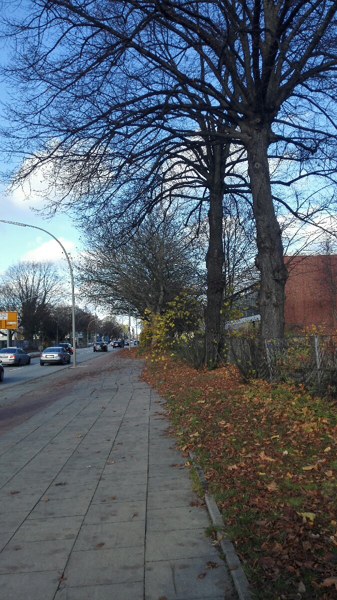 Fall i miss you