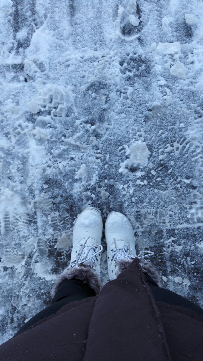 In the depth of winter I finally learned that there was in me an invincible summer