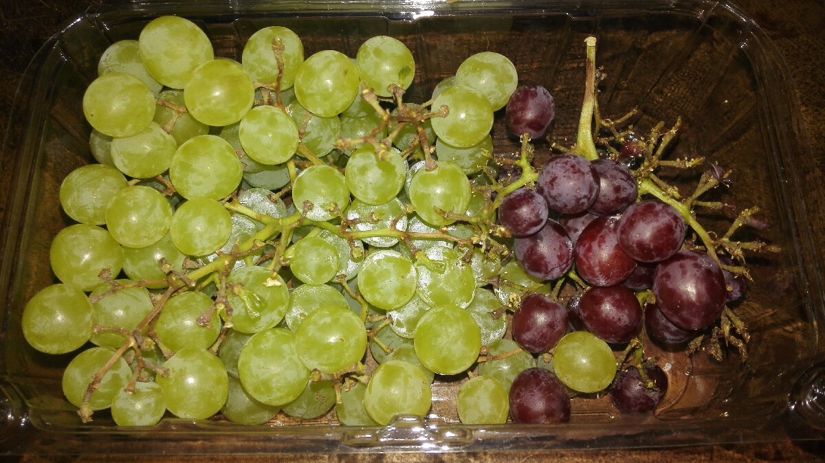 People pretend not to like grapes when the vines are too high for them to reach