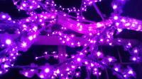 purple, violet, lights, bulbs