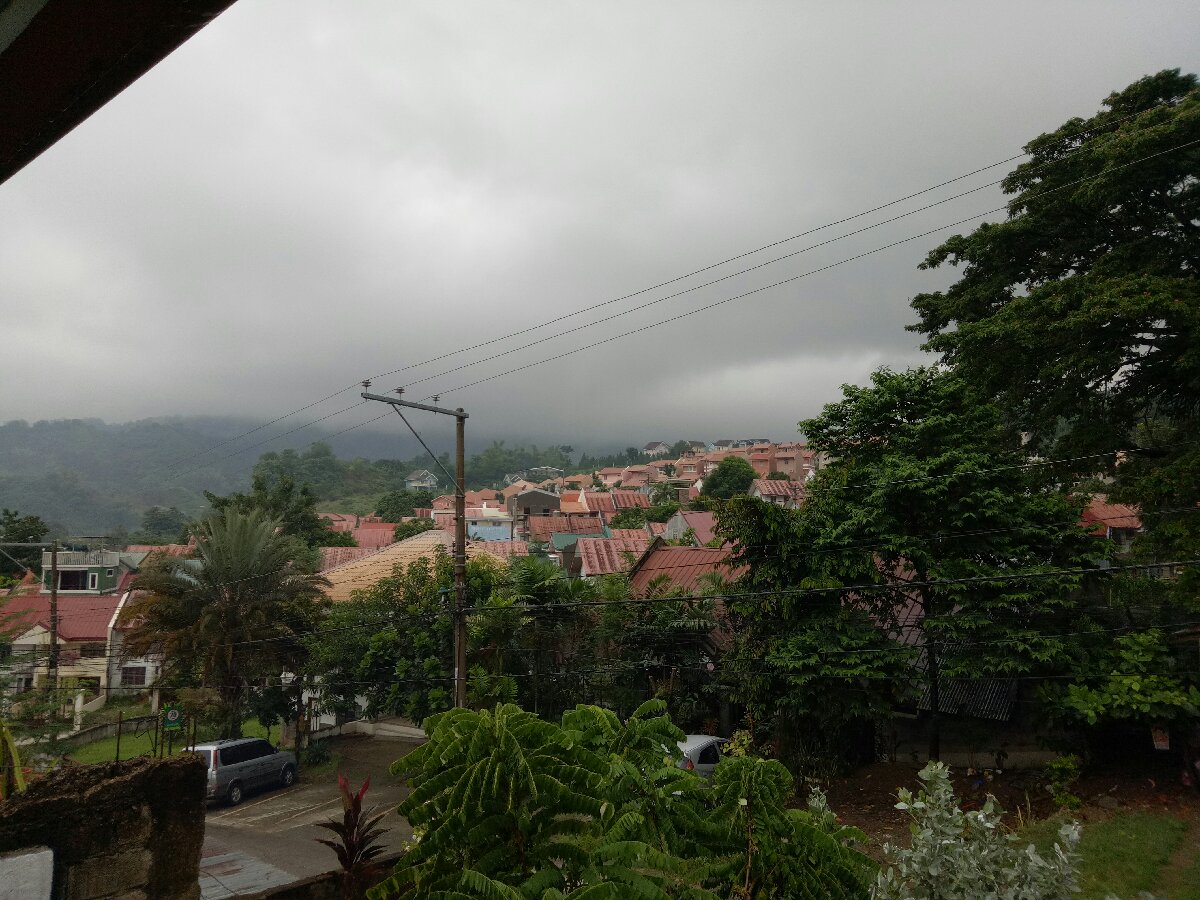 gloomy day