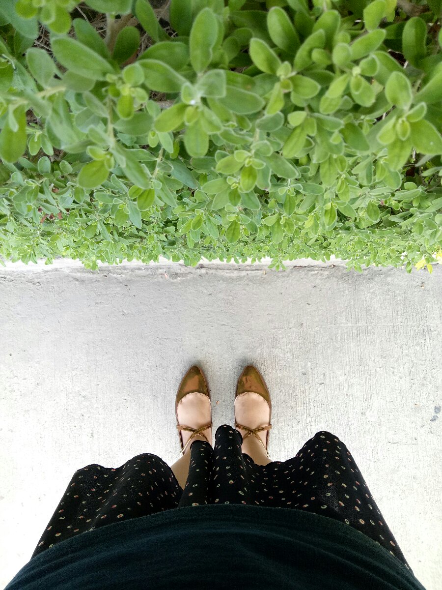 monday