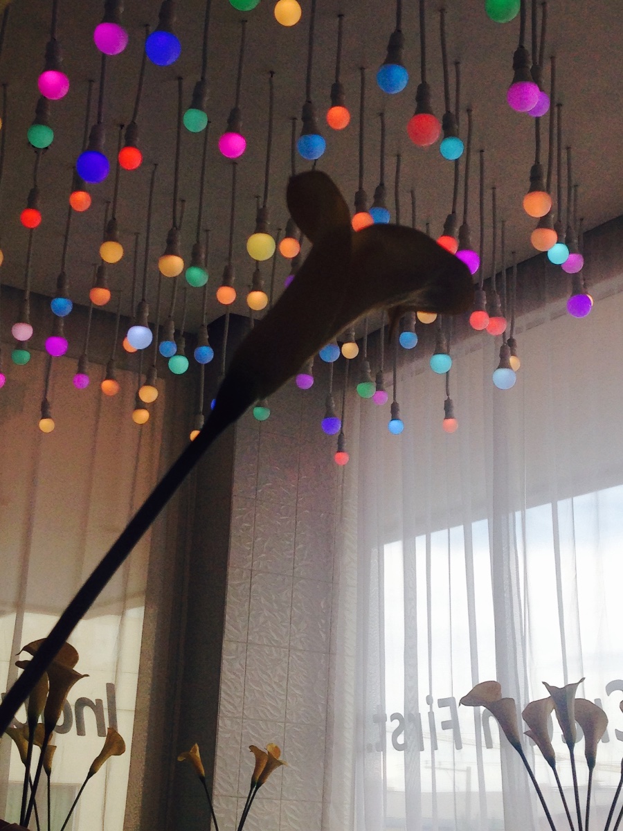 Beautiful colorful lights