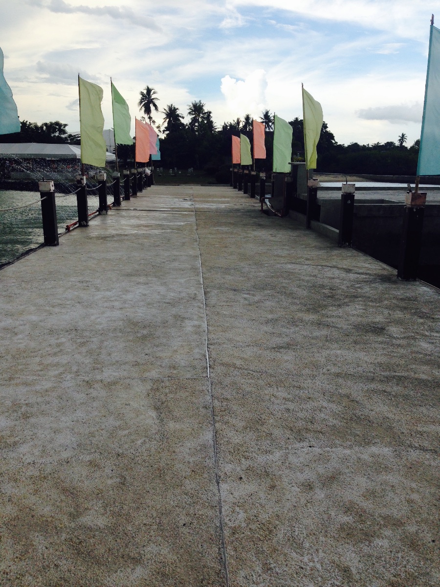 sandbar