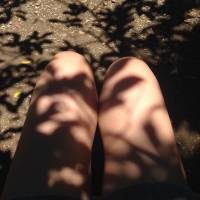 Leaves, shadows, monday, noon, so, hot
