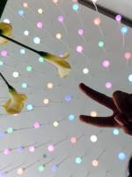 Peace white flowers