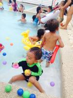 Playing, colorful, balls, cute