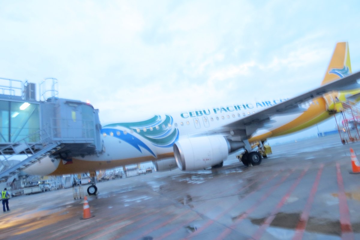 flight