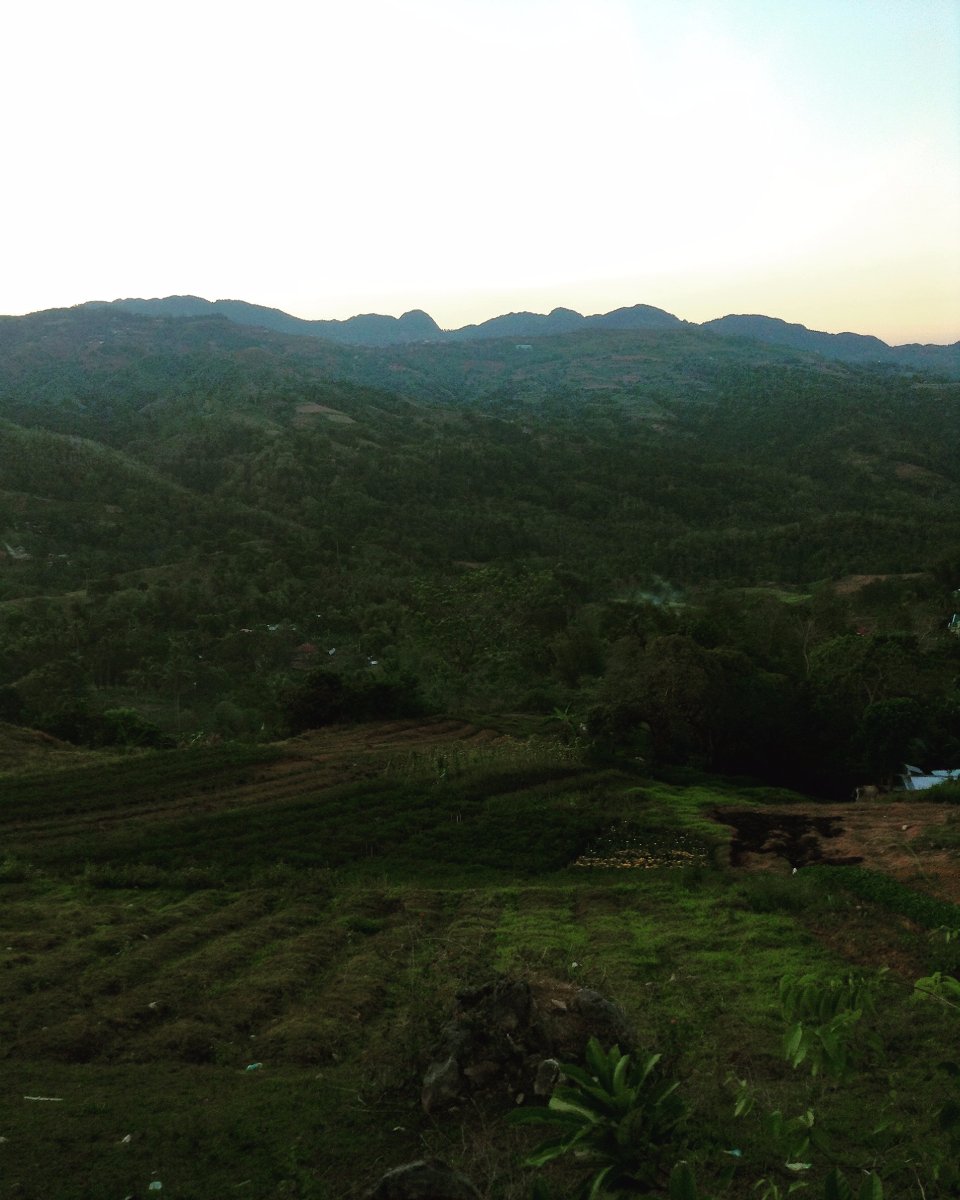 hills