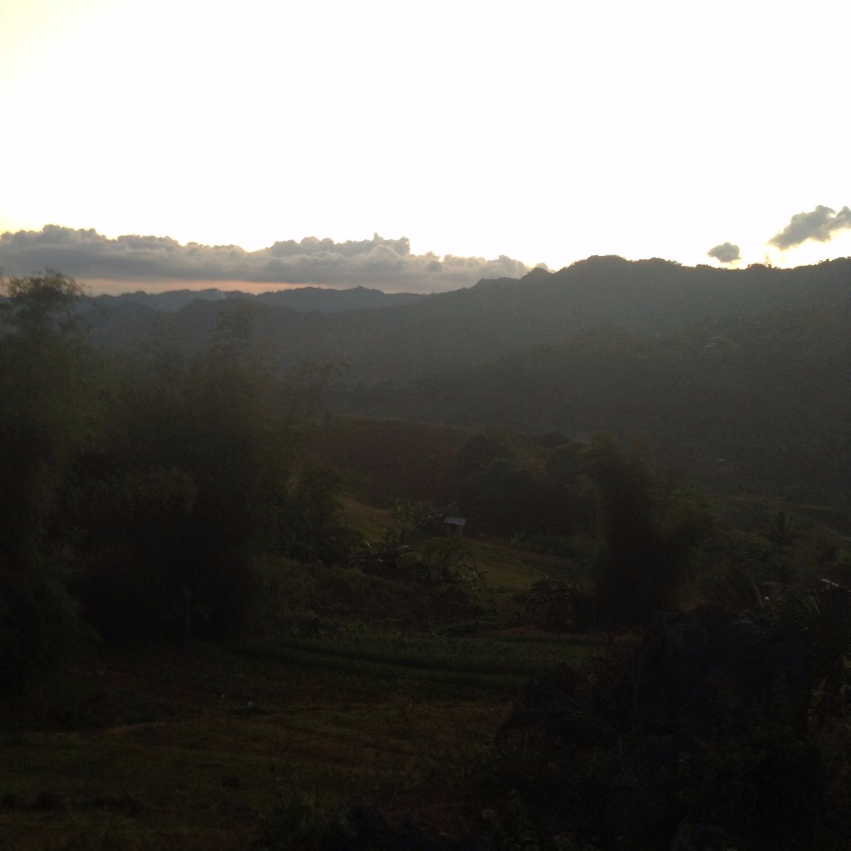 land